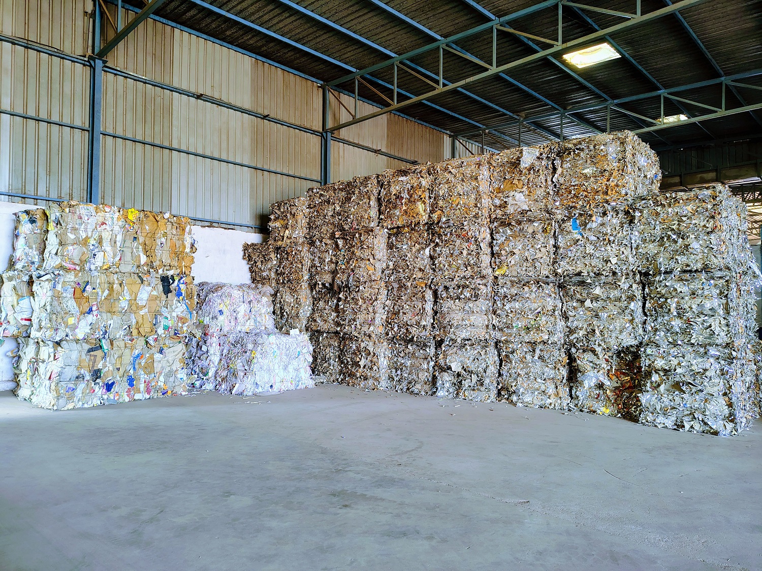 IMG_20241018_140659688_HDR